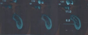Scan pic0001 bie5gc - Eugenol