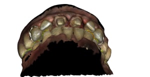 Screenshot 1.162.1 - Eugenol