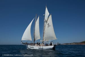  h8b8131 2021 08 29 1000pix 1 wfx69t - Eugenol