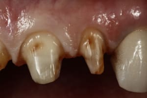  mg 2059 em84x2 - Eugenol