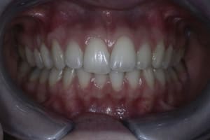  mg 3920   copie wznqlb - Eugenol