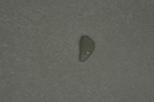  mg 7286 mle86m - Eugenol
