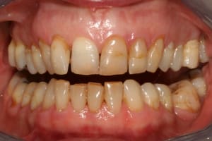  carteurs ghd0kd - Eugenol