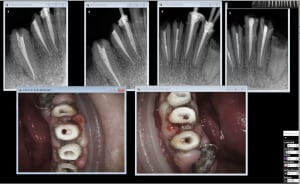 Ab90ka072yua2zqtvwj2dncrm4sj - Eugenol