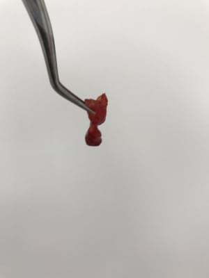 Akkolqnaqcj1o2imqx2w - Eugenol