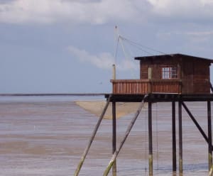 Cabanne igvv6i - Eugenol