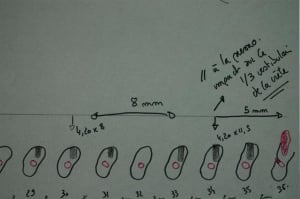 Cas 2  custom  tectjz - Eugenol