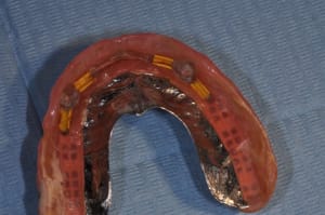 Cavaliers y1cosc - Eugenol