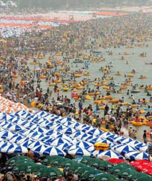 Chine plage zdtwyv - Eugenol