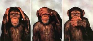 Dormez braves gens onsoccupedevous1 m0qt0i - Eugenol