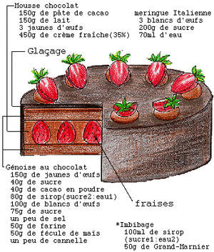 Gateau chocolat eqxygz - Eugenol