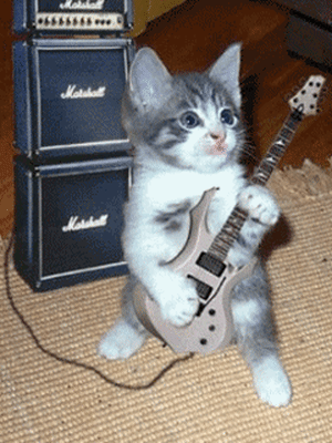 Guitar cat neu85j - Eugenol