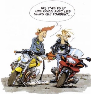 Guzzi rn0wum - Eugenol