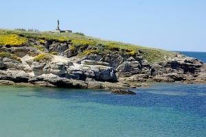 Hal1 lebmre - Eugenol