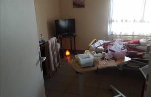 Hfd1qdoondahsyhlvhth - Eugenol