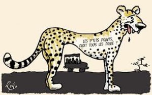 Images zohh3u - Eugenol