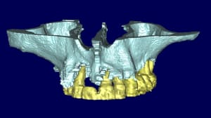 Jacques 3d5 w48q1q - Eugenol