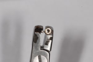 Kocmji74wlsn01mgu6cg - Eugenol