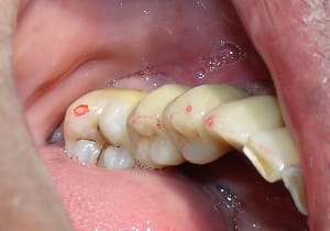 Kqjegmm5y96bflsnyblk - Eugenol