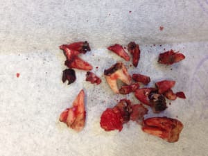 Kyytfsvlmdf2omzti8dd - Eugenol