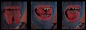 Lezard man temsvn - Eugenol