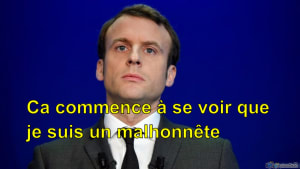 Macron7 ddigjs - Eugenol