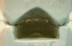 Modéle4 jqjahp - Eugenol