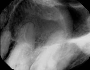 Oaqdiyvx0s09pjwoeqaf - Eugenol