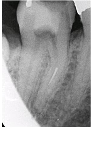 Oupt09xc1ac9oh7xq1xj - Eugenol