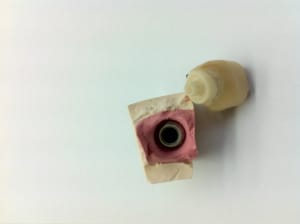 Photo 2 aby3o1 - Eugenol