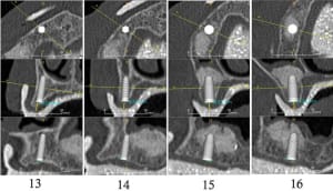 Plan sect 1 copie oaf4lk - Eugenol