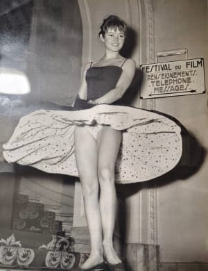 Py76fzjtap38lihhmdcqh1l2sbu6 - Eugenol