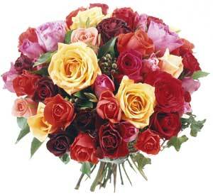 Roses enxj3b - Eugenol