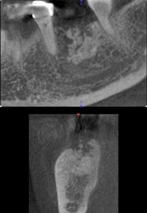 Scan 2 o60uts - Eugenol