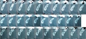 Scan bas gauche hdqiib - Eugenol