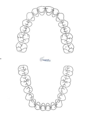Schema nonol ddikbr - Eugenol