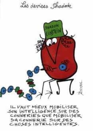 Shadock gsnorn - Eugenol