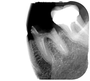 Snv4llqbsnq86vnihqe9 - Eugenol