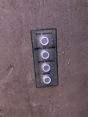 Svbi9tqrbeldwfbhmv4x - Eugenol