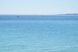 Tombolobeach0 zfqi86 - Eugenol