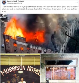 U8turswi98ca76yw6db4jr6ga6s0 - Eugenol