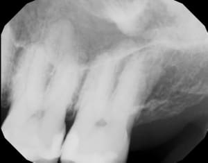 Vhpmmjpa2hmndox4dilg - Eugenol