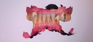 Vlq57243bxna65h7h4hcmjevgjm6 - Eugenol