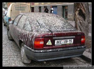 Voiture amib umabct - Eugenol