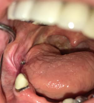 W0uctgin6udfcjy2z8fv - Eugenol