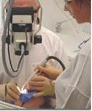 W microsc - Eugenol
