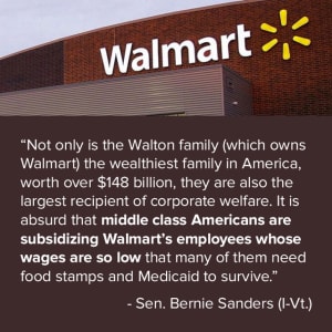 Walmart isy9sp - Eugenol