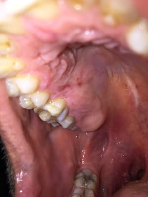 Wxw8mg3e5npqko2s33z3 - Eugenol