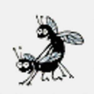 Xohydw10 l8wlze - Eugenol