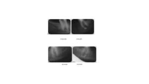 Yamen wlvyqj - Eugenol